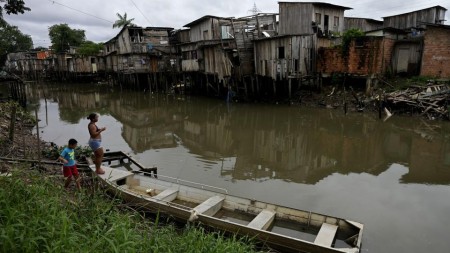 Növbəti COP30 üçün Braziliya Amazon tropik meşələrinin bir hissəsini yol üçün qurban verəcək