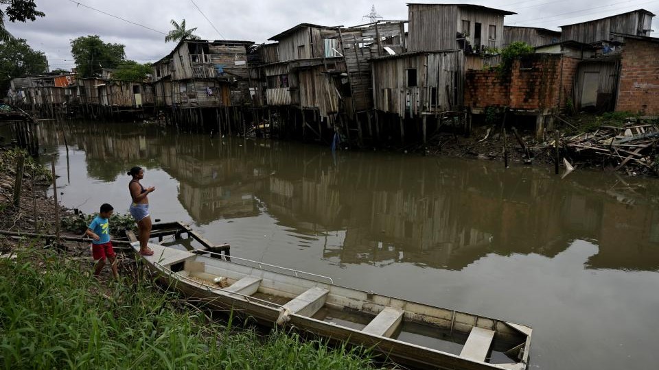 Növbəti COP30 üçün Braziliya Amazon tropik meşələrinin bir hissəsini yol üçün qurban verəcək