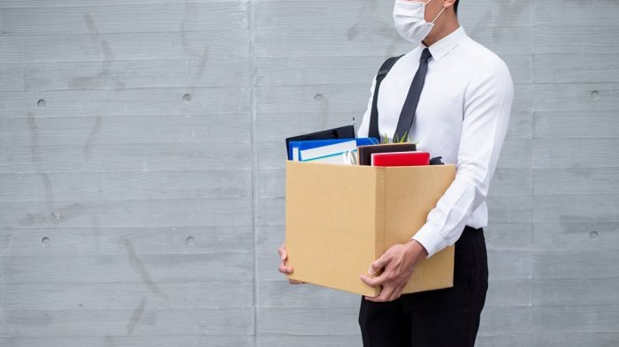 2019-cu il işsizlik sığortası islahatı işə qayıtmağı sürətləndirdi