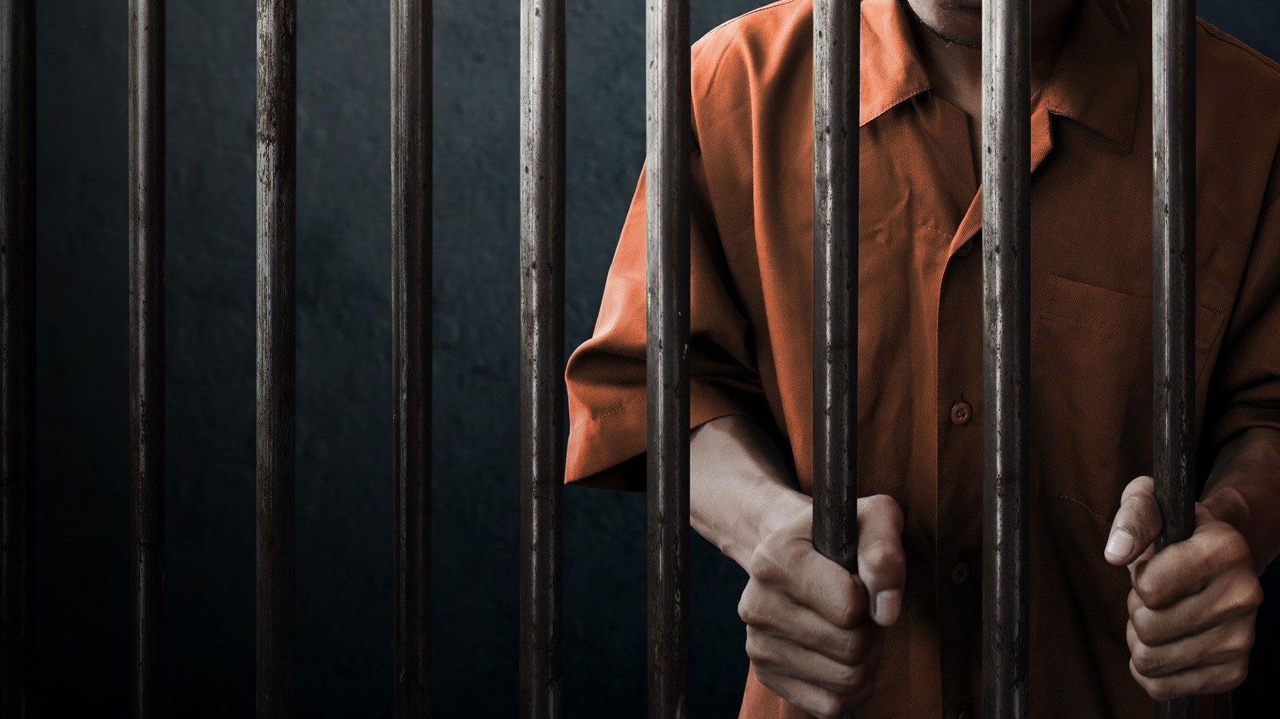 Bulut Əməliyyatı: Məlumata əsaslanan strategiya 300 həbsə səbəb oldu (Avropol)