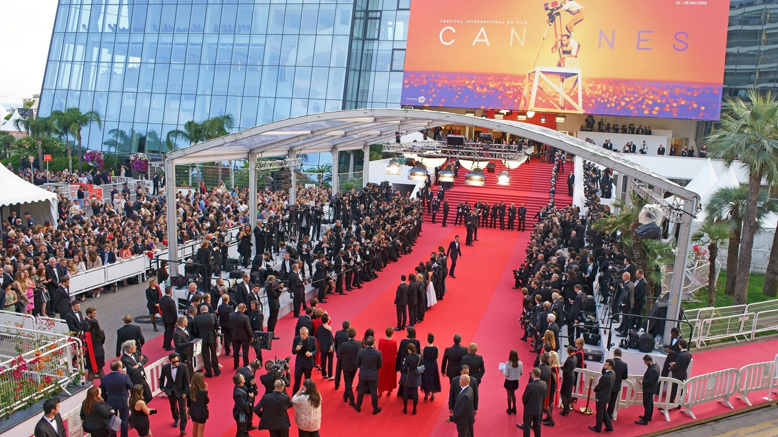Kann Film Festivalında "Private Life" filmində Jodie Foster deliriumda üzür və biz onunla birlikdə dalırıq