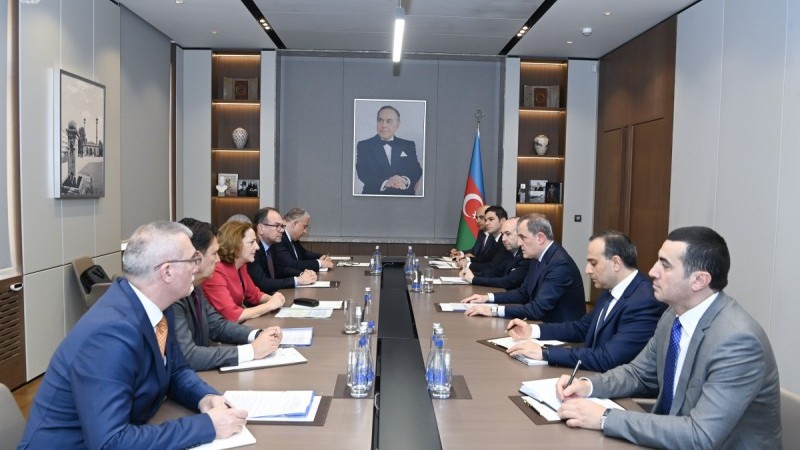 Ceyhun Bayramov Elena Şekerletovanı qəbul edib