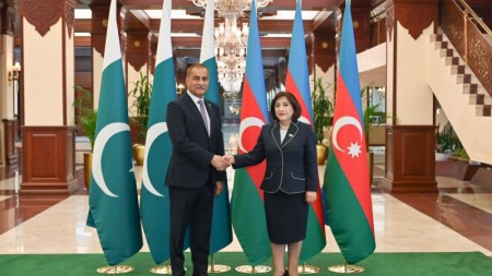 Sahibə Qafarova Sərdar Ayaz Sadiqlə görüşdü