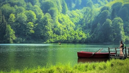 Yeni milli parkların yaradılması ilə qorunan təbiət ərazilərinin sahəsi genişləndirilib