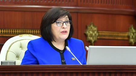 "Azərbaycan dilinin inkişaf məsələsi dövlət düşüncəmizin mərkəzində dayanır" - Spiker