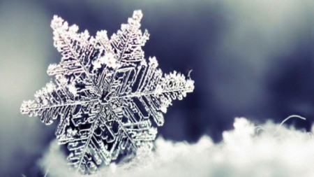 Bu ərazilərdə 12 dərəcəyədək şaxta qeydə alındı - FAKTİKİ HAVA