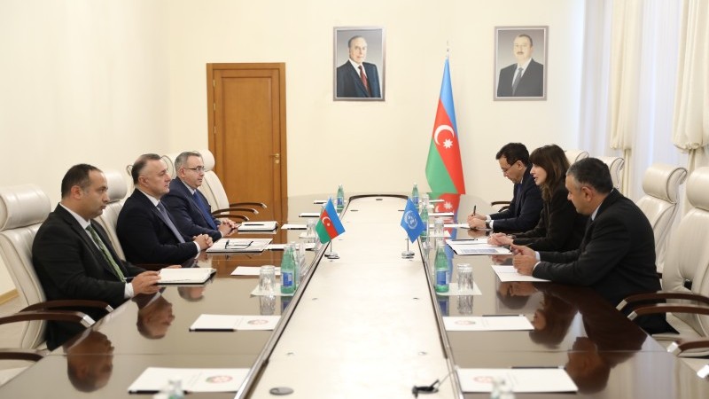 Səhiyyə Nazirliyində BMT-nin Azərbaycandakı rezident əlaqələndiricisi ilə görüş keçirilib