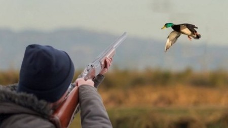 Azərbaycanda ov mövsümü açılır - Sabahdan