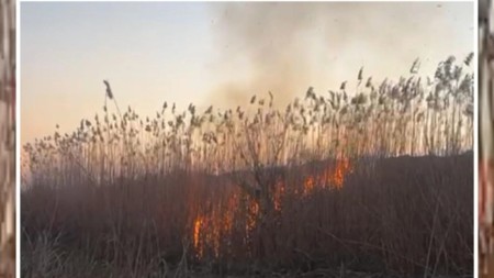 Cəbrayılda yanğın törədən şəxs saxlanıldı
