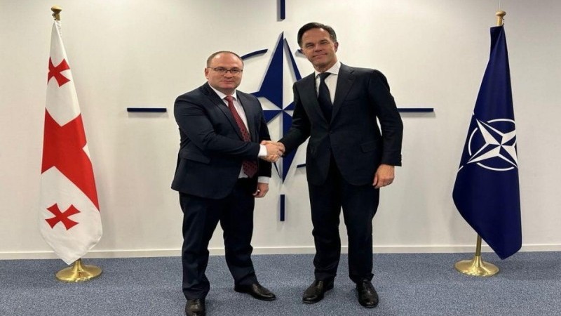 Gürcüstan-NATO əməkdaşlığı müzakirə olundu