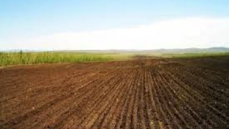 Ağalıda torpaqların sonuncu müraciət qəbuluna başlanıldı