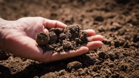 Çöküntü və süxurların istifadəsinin hüquqi əsası yaradılır