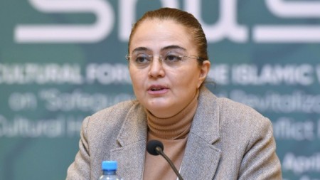 ""Qrant haqqında" qanuna dəyişikliklərin edilməsi zəruridir" - Nazir müavini