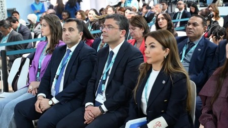 WUF13 çərçivəsində MİM tərəfindən tədbir keçirildi - FOTOLAR