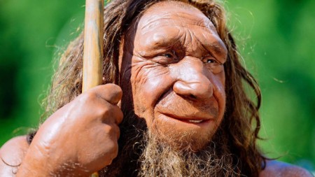 Ölkəmizdə "neandertal" qalığı tapılıb