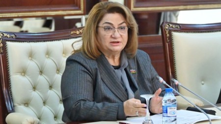 Hicran Hüseynova: “Uşaqlar təkcə ailənin deyil, həm də dövlətin sərvətidir”
